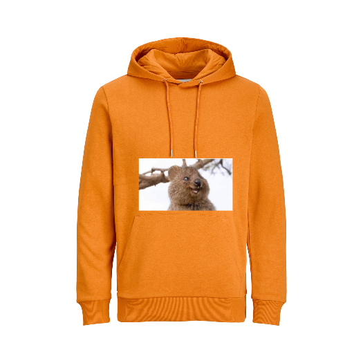 Basic Hoodie Sweat - Oranje