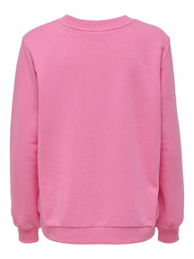 Color Reg Sweater - roze